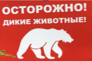 «Правила поведения при встрече с дикими животными»
