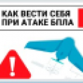 Информационная памятка для жителей при объявлении угрозы ракетной и беспилотной опасности